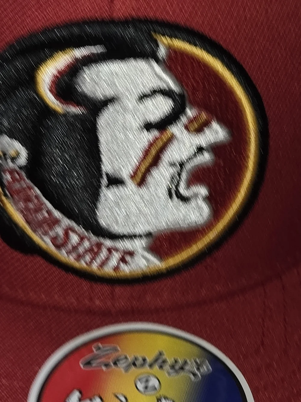 Zephyr branded snapback